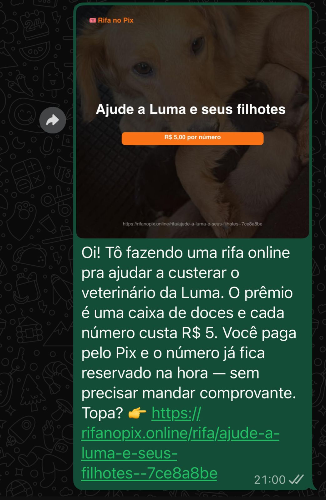 Screenshot real de uma rifa no WhatsApp: preview automático com foto do prêmio, título da rifa e preço do bilhete gerado pelo RifaNoPix